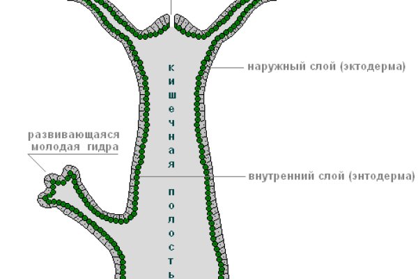 Кракен даркнет магазин