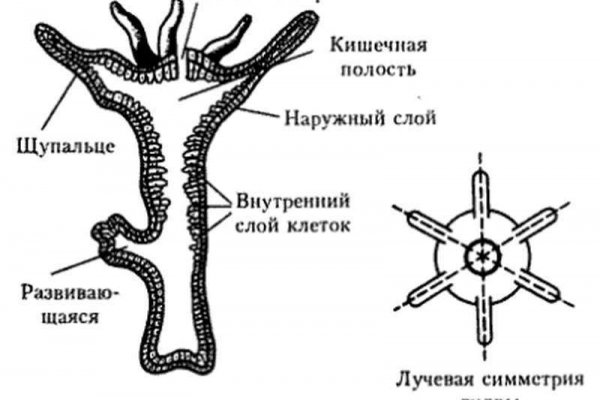 Кракен сайт наркотиков