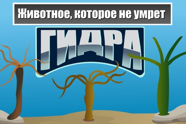 Что такое кракен маркетплейс курительный смесс