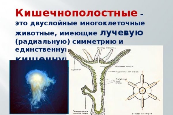 Кракен как зайти на сайт